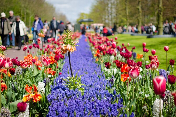 From Amsterdam: Keukenhof Tour Countryside and Windmill Cruise - Beautiful Flower Fields and Windmill Cruise
