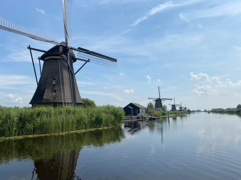 From Amsterdam: Kinderdijk, Delft & Mauritshuis Private Tour - The Itinerary Breakdown: What You Can Expect
