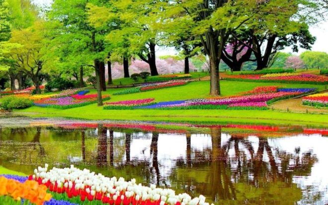 From Amsterdam: One-Way Private Transfer To/From Keukenhof - Inclusions