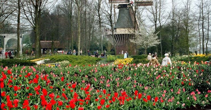 From Amsterdam: Private Day Trip to Keukenhof & De Tulperij - Good To Know