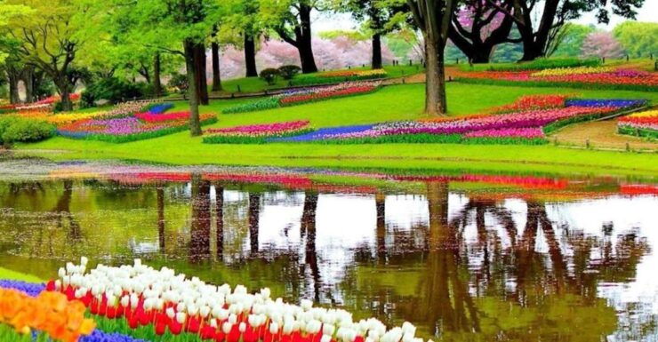 From Amsterdam: Private Keukenhof and Tulip Experience Tour - Activity Details and Booking Information