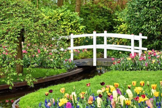 From Amsterdam: Private Keukenhof and Tulip Experience Tour - Tulip Experience Amsterdam