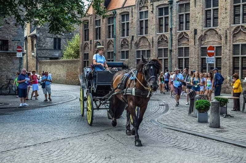 From Amsterdam: Private Sightseeing Tour to Bruges - Good To Know