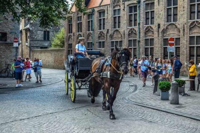 From Amsterdam: Private Sightseeing Tour to Bruges - Experience Highlights
