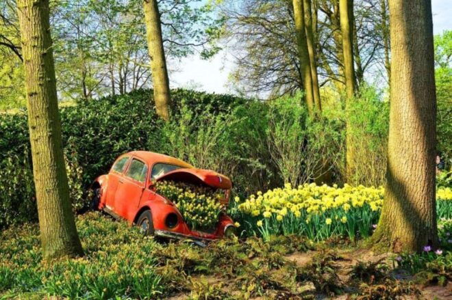 From Amsterdam: Private Tour to the Keukenhof and Madurodam - Complimentary Services and Amenities