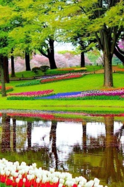 From Amsterdam: Private Tour to the Keukenhof and Madurodam - Transportation and Pickup Logistics