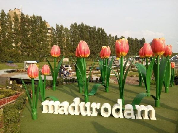 From Amsterdam: Private Tour to the Keukenhof and Madurodam - Customer Testimonials and Ratings