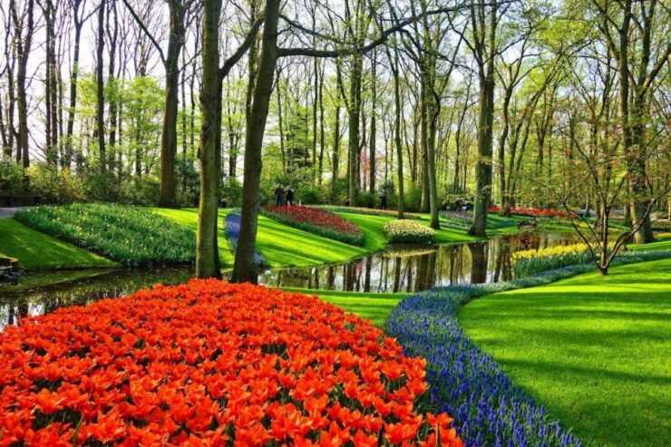 From Amsterdam: Private Windmills and Keukenhof Tour - Tour Details