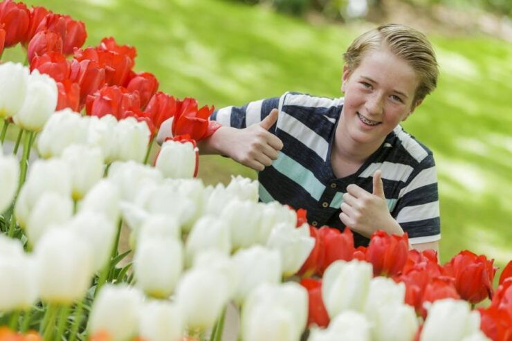From Amsterdam RAI: Keukenhof Entry Incl. Public Bus - Activity Details