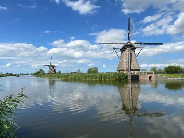 From Amsterdam: See Kinderdijk, Euromast, Delft and Den Haag - Customer Feedback and Suitability