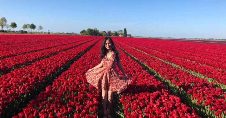 From Amsterdam: Tulip Tour Keukenhof & City Tour Delft - Booking and Duration