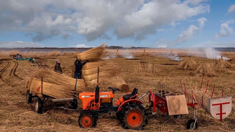 From Amsterdam: Zaanse Schans and Giethoorn Countryside Trip - Authentic Experiences That Shine