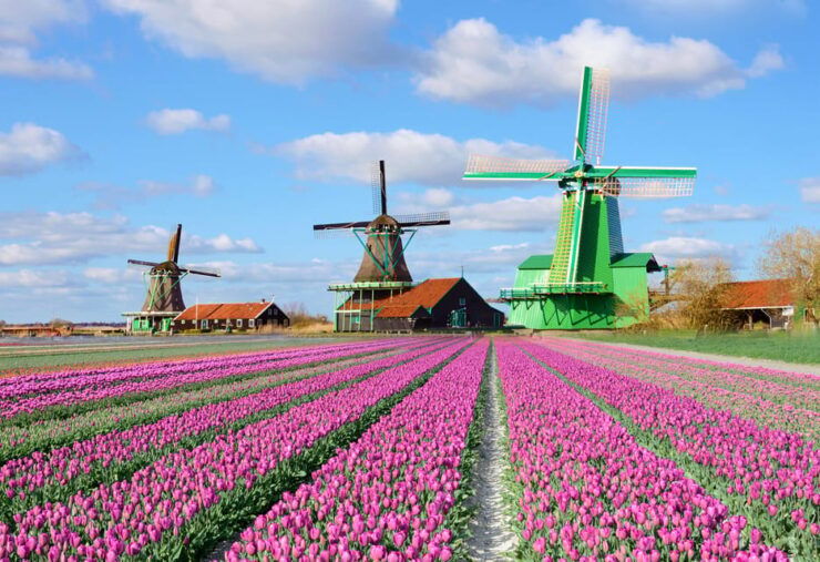 From Amsterdam: Zaanse Schans, Edam, Volendam, & Marken Tour - Good To Know