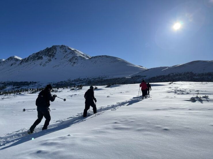 From Anchorage: Glen Alps Beginner's Snowshoeing Adventure - Snowshoeing Adventure Overview