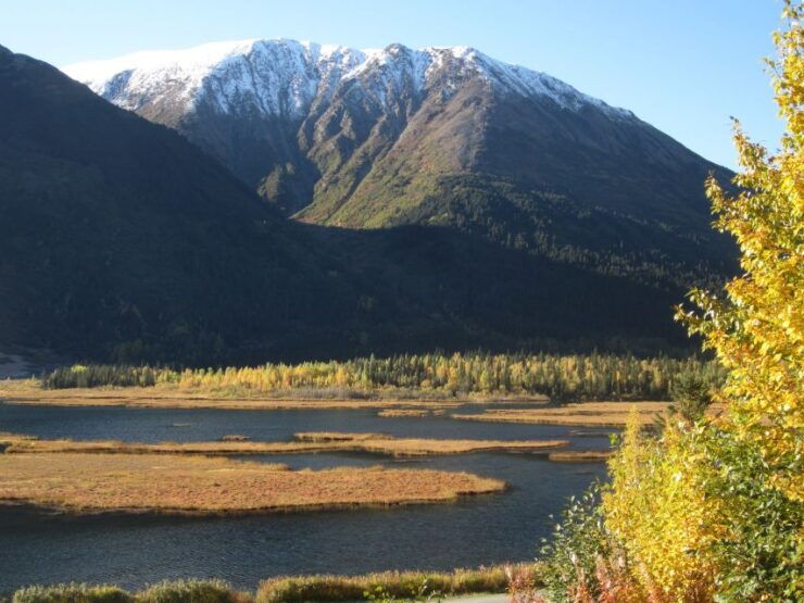 From Anchorage: Turnagain Arm and Wildlife Center Tour - Good To Know