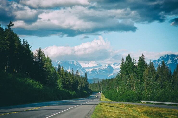 From Anchorage: Turnagain Arm and Wildlife Center Tour - Highlights of the Experience