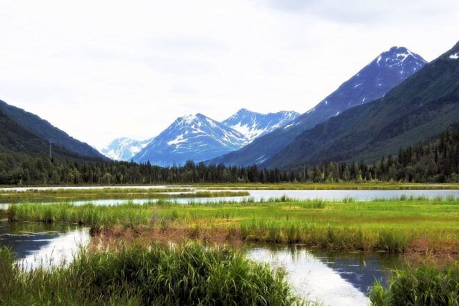 From Anchorage: Turnagain Arm and Wildlife Center Tour - Full Description of the Tour