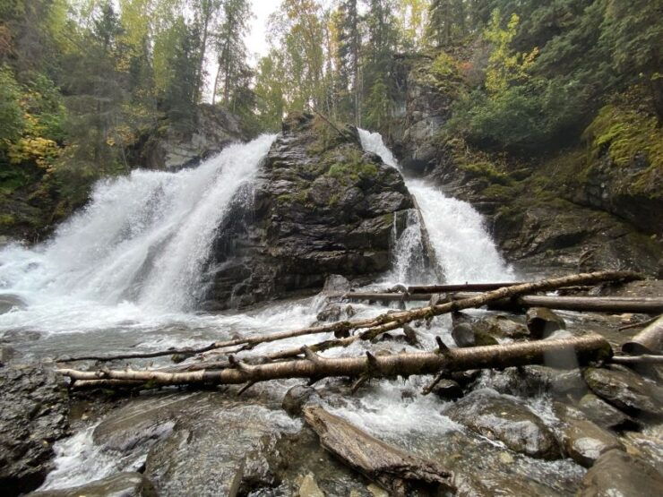 From Anchorage: Valley and Forest Hike With Naturalist Guide - Activity Details