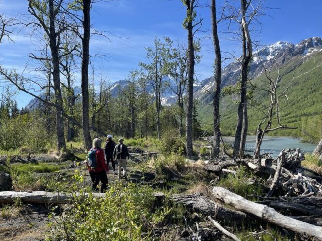 From Anchorage: Valley and Forest Hike With Naturalist Guide - Meeting Point and Directions