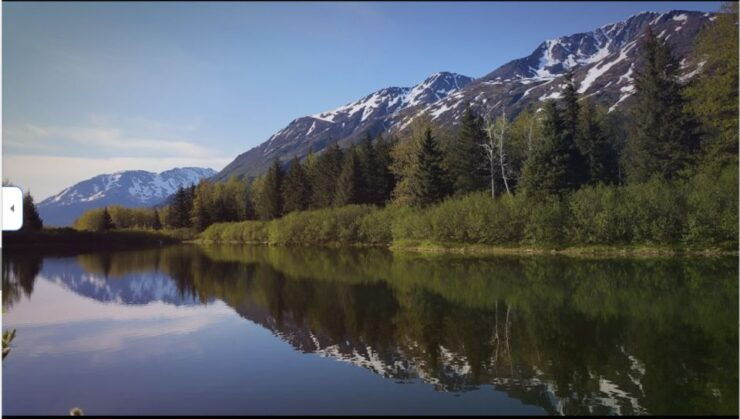 From Anchorage: Wilderness, Wildlife, & Glacier Experience - Highlights of the Chugach National Forest