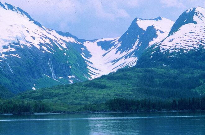 From Anchorage: Wilderness, Wildlife, & Glacier Experience - Exploring the Ring of Glaciers
