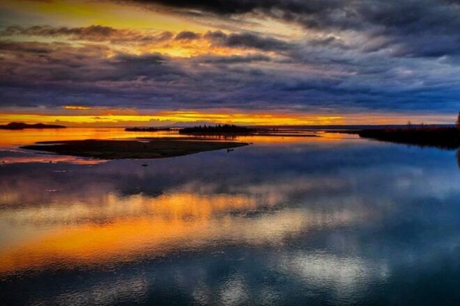From Anchorage: Wilderness, Wildlife, & Glacier Experience - Customer Reviews and Ratings