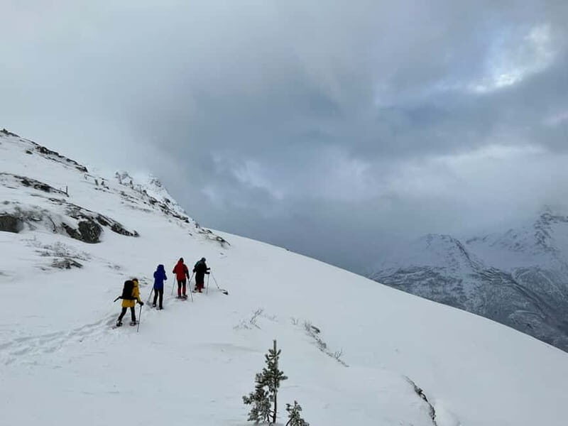 From Åndalsnes: Cable Car and Nesaksla Snowshoe Hike - Good To Know