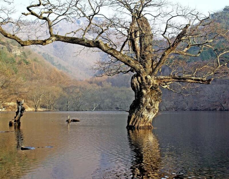 From Andong: Cheongsong Juwangsan Mt. UNESCO Geopark Hike - Good To Know