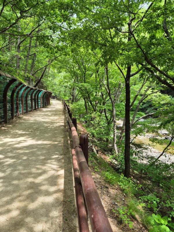 From Andong: Cheongsong Juwangsan Mt. UNESCO Geopark Hike - Authentic Insights from Reviews
