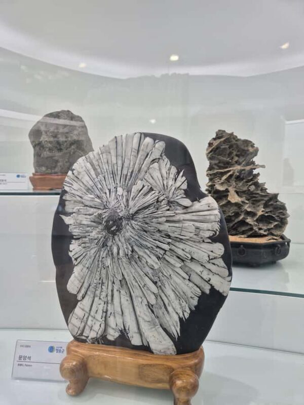 From Andong: Cheongsong Juwangsan Mt. UNESCO Geopark Hike - FAQ