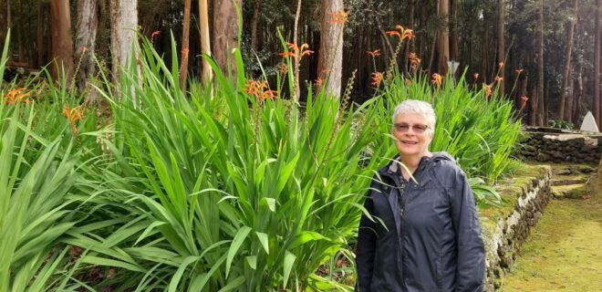 From Angra Do Heroísmo: Full-Day Terceira Island Van Tour - Review Summary