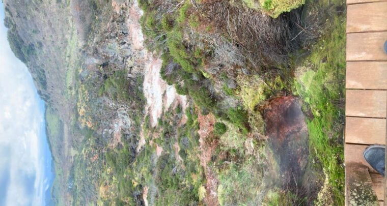 From Angra: Terceira Island Half-Day Geotour (Shared Tour) - Who Will Love This Tour?