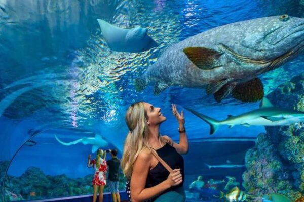 From Antalya All Region: Antalya Aquarium With Transfer - Booking Process
