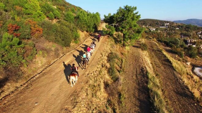 From Antalya, Belek, Kundu: Horse Riding With Hotel Transfer - Itinerary Breakdown