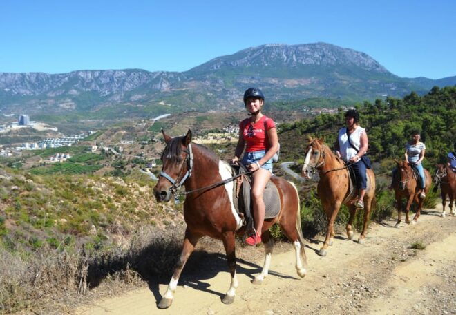 From Antalya, Belek, Kundu: Horse Riding With Hotel Transfer - Customer Feedback