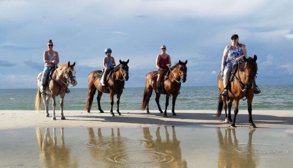 From Antalya, Belek, Kundu: Horse Riding With Hotel Transfer - What to Expect