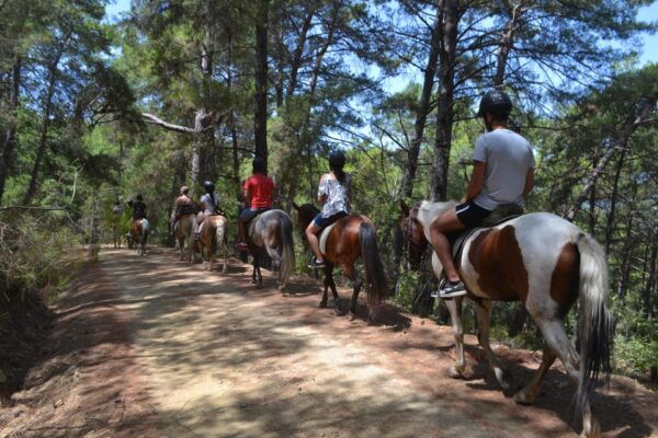 From Antalya, Belek, Kundu: Horse Riding With Hotel Transfer - Frequently Asked Questions