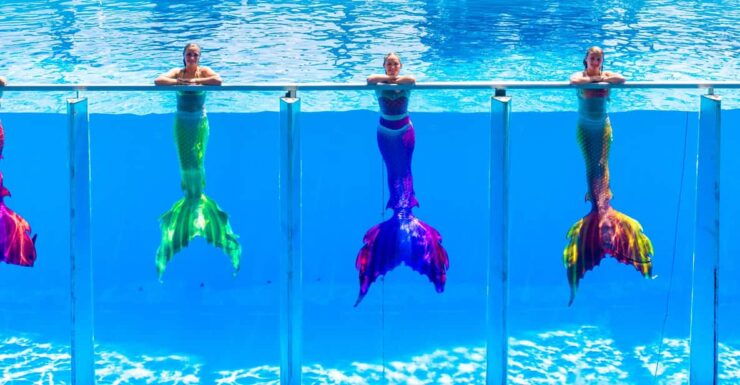 From Antalya/Kemer: Dolusu Park (Standard Package) - Key Points