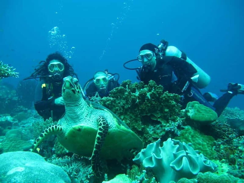 From Antalya: Scuba Diving With Lunch and Transfer - What to Expect from the Tour