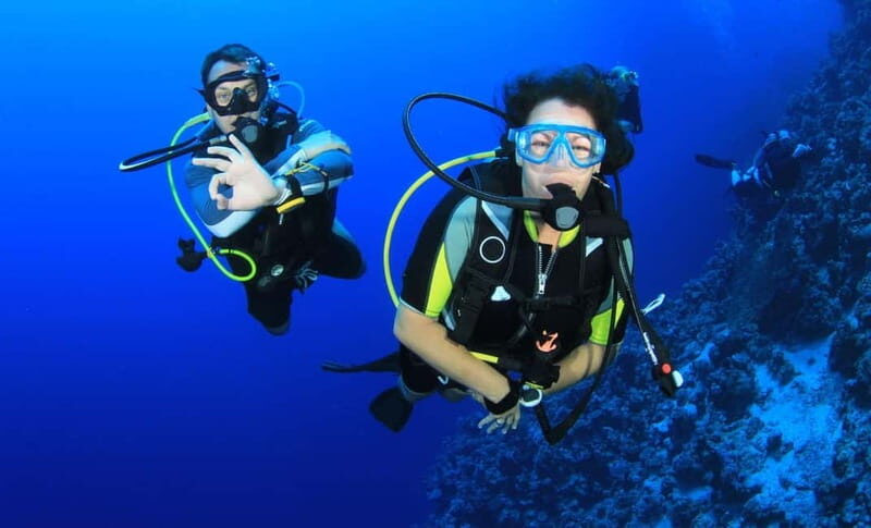 From Antalya: Scuba Diving With Lunch and Transfer - Authentic Insights from Reviewers