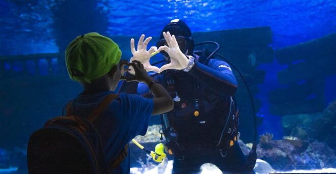 From Antalya/Side/Alanya: Antalya Aquarium Transfer Service - On-Site Amenities