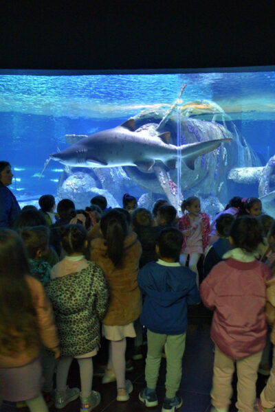From Antalya/Side/Alanya: Antalya Aquarium Transfer Service - Frequently Asked Questions