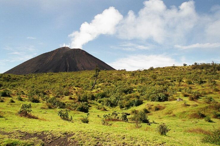 From Antigua: Pacaya Volcano Trek - Review Ratings