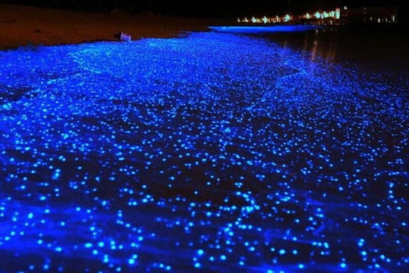 From Ao Nang Hong Island Longtail Cruise with Sunset Dinner - Authentic Insights from Travelers