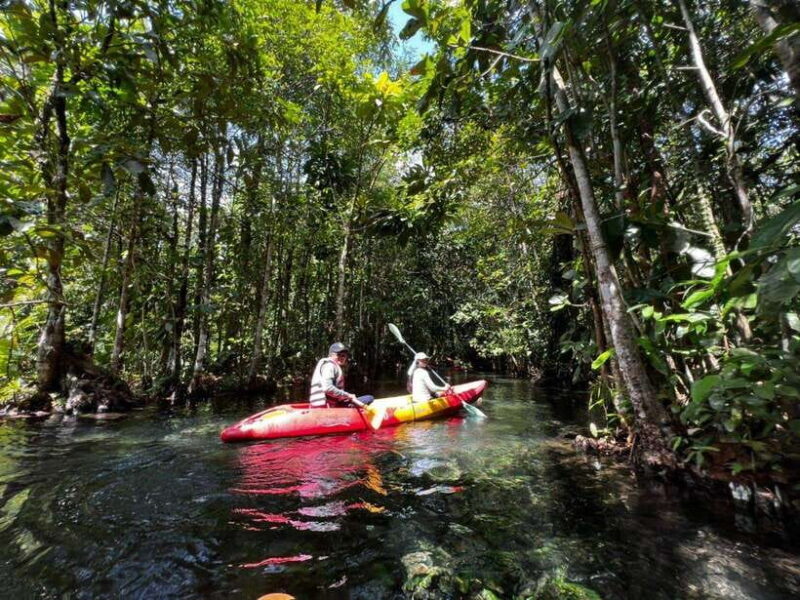 From Ao Nang: Kayaking at Klong Rud with Hotel Transfers - Good To Know