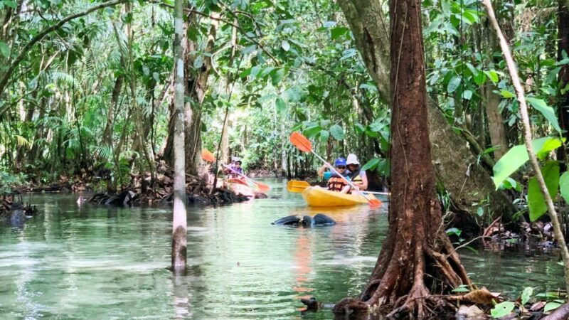 From Ao Nang: Kayaking at Klong Rud With Hotel Transfers - Good To Know