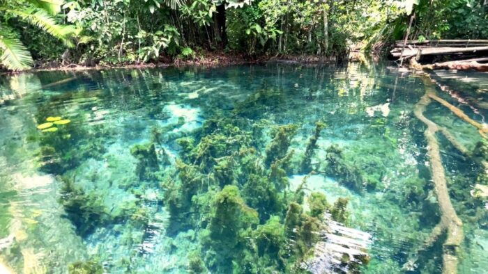 From Ao Nang: Kayaking at Klong Rud With Hotel Transfers - Booking and Pricing Information