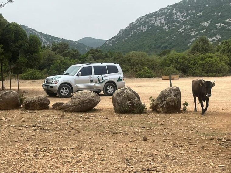 From Arbatax: 4hour Jeep Tour of the Golgo Plateau in Baunei - Booking and Cancellation Policy