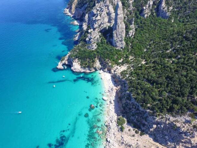 From Arbatax: Full-Day Guided Boat Tour of the Baunei Coast - Included Activities