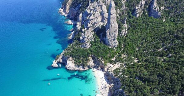 From Arbatax: Full-Day Guided Boat Tour of the Baunei Coast - Pricing and Costs